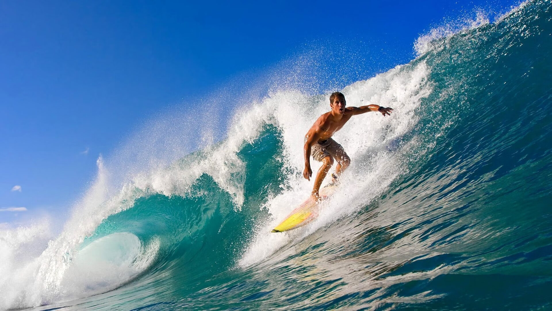 “新加坡见证泳池奇迹！2025世界游泳锦标赛极限挑战开启”